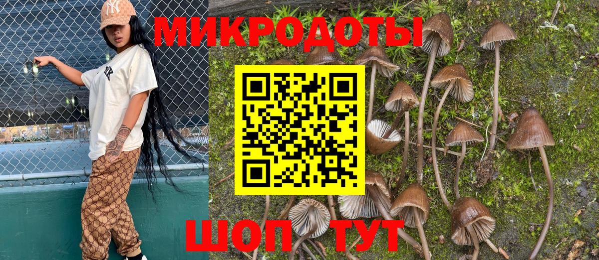 Псилоцибиновые грибы MAGIC MUSHROOMS Хабаровск