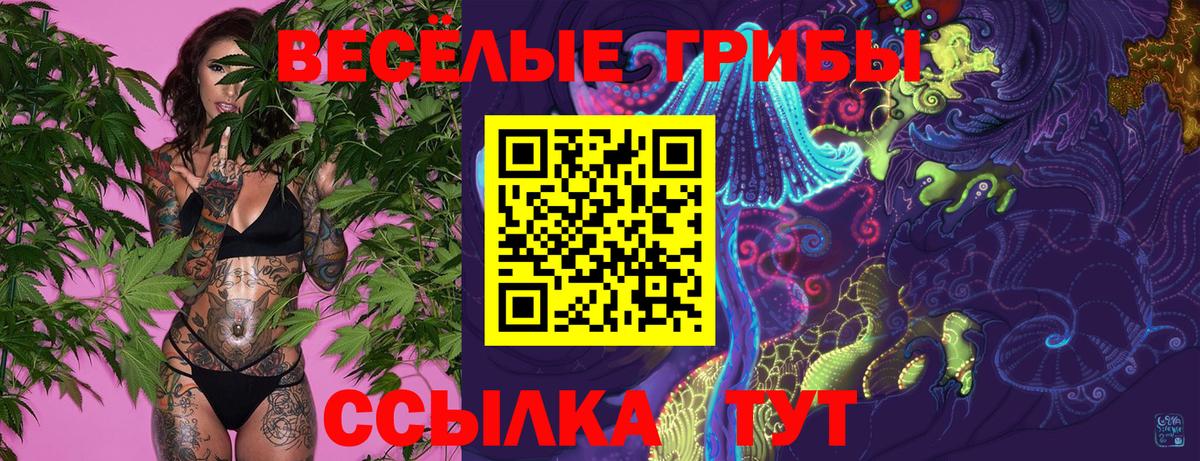 Марихуана  Хабаровск  ГАШИШ  Купить наркотики цена  Alpha PVP СК   ГАШ  Вход с VPN  МЕФ   COCAIN 