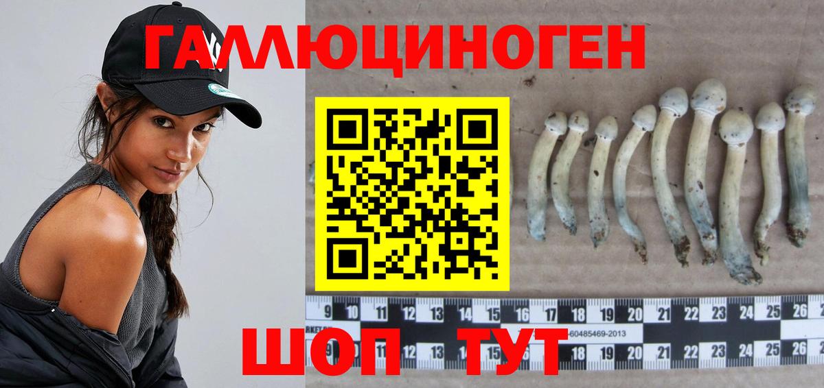 Хабаровск  Псилоцибиновые грибы мухоморы  Вход с VPN 